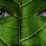 Un nou obiectiv ratat din Green Deal: „Transportul „verde” - departe de țintele UE