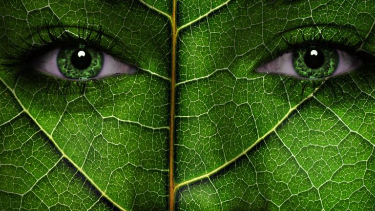 Un nou obiectiv ratat din Green Deal: „Transportul „verde” - departe de țintele UE