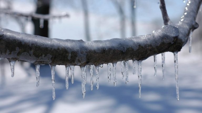 Prognoza meteo 23 februarie: vreme deosebit de rece, zonele lovite de ger