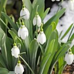 Prognoza meteo 26 februarie. Gerul se înmoaie, temperaturi în creștere. Unde va fi cel mai cald 