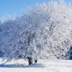Cod galben de GER, în aproape toată țara: temperaturile scad până la -18 grade! Unde va fi cel mai frig