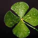 Horoscopul NOROCULUI. Cele mai binecuvântate zodii ale lunii februarie. Vezi dacă te numeri printre ele