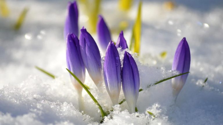 Vremea 28 februarie. Cresc TEMPERATURILE în toată țara. Noua prognoză de la ANM