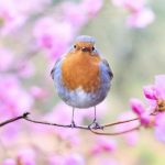 Horoscopul lunii martie. Ce surprize te așteapă în prima lună de primăvară. 3 zodii își vor schimba destinul
