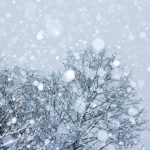 Cod galben de NINSORI VISCOLITE în Moldova, Muntenia şi Dobrogea. Vremea se răcește semnificativ până pe 18 februarie: prognoza ANM