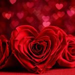 Ce preț are un buchet de trandafiri în prezent? Sumele cresc vertiginos înainte de Valentine's Day