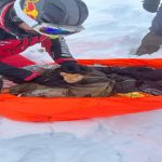 Zeci de persoane, rănite pe munte. Salvamontiștii au salvat mai multe vieți în ultimele 24 de ore