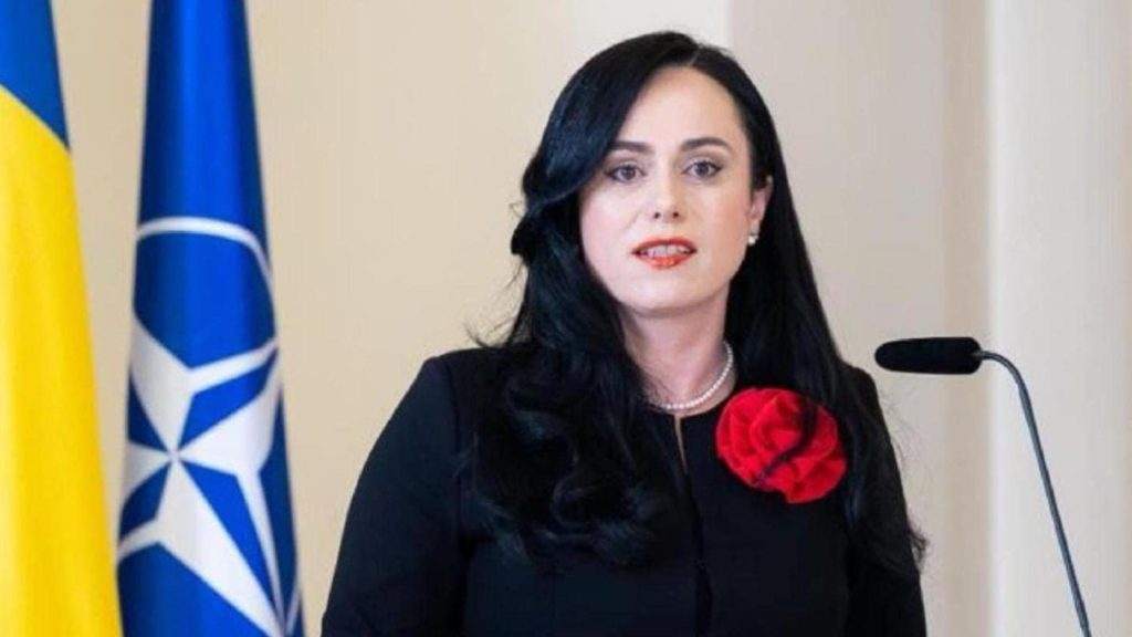 Delegația de Tineret a României la ONU, întâlnire cu ministrul Muncii, Simona Bucura-Oprescu: Am vorbit despre cum expertiza delegaților poate fi valorificată mai bine de către statul român