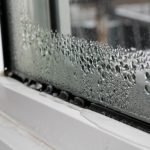 Cum scapi de mirosul de umezeală din casă. Amestecul natural, simplu și ieftin care face minuni
