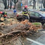 Incident grav în Prahova. Un copac a căzut peste o mașină în care se aflau două persoane, între care un copil