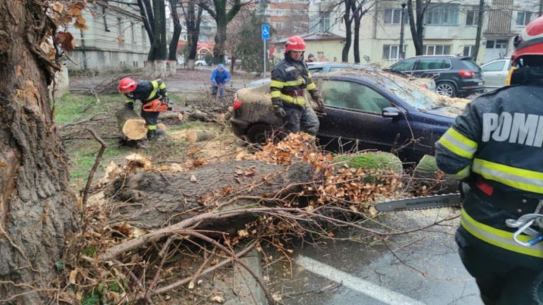 Incident grav în Prahova. Un copac a căzut peste o mașină în care se aflau două persoane, între care un copil