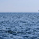 România va monitoriza încetarea focului din Marea Neagră. Decizia liderilor europeni