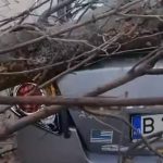 Vremea extremă a făcut prăpăd în Capitală! 120 de intervenții ale pompierilor, în ultimele 24 de ore