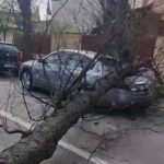 Pagube uriașe, după vijeliile puternice din România: noi IMAGINI cu dezastrul din ultimele ore