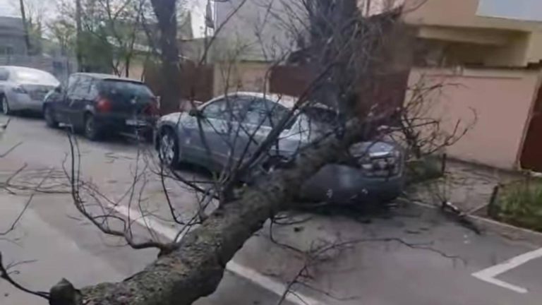 Pagube uriașe, după vijeliile puternice din România: noi IMAGINI cu dezastrul din ultimele ore