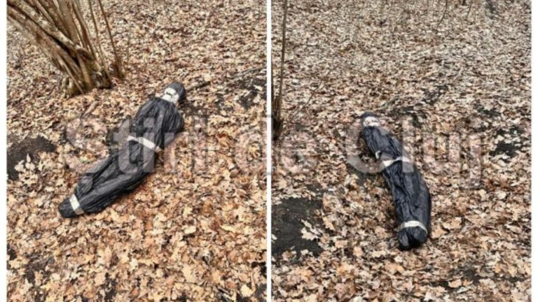 Au vrut să petreacă o după-amiază liniștită în sânul naturii, dar au trecut printr-o sperietură groaznică. Ce a băgat spaima într-o familie din Cluj