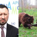 Ministrul Mediului, mesaj după atacul ursului din Predeal asupra șefului Salvamont: „Să împuşcăm şi acei urşi în creierii munţilor, acei urşi care poate nu s-au întâlnit cu omul niciodată în viaţa lor”