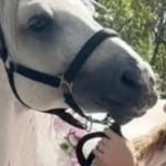 Loredana Groza surprinde din nou! Momentul inedit care a devenit viral