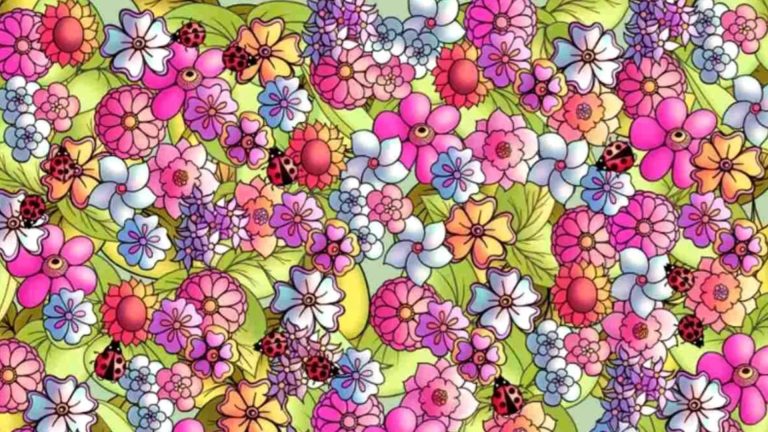 Testul minților sclipitoare. Poți să găsești fluturele ascuns printre flori?