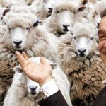 Gigi Becali, încă un derapaj halucinant! Val de injurii la adresa reprezentantei AUR în BEC: "Ești așa o javră!"