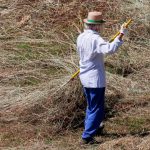 Un fermier din România a fost amendat pentru poluare olfactivă: greșeala care a dus la o sancțiune de 15.000 de lei