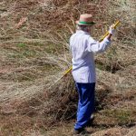 Bani în plus la pensie pentru persoanele care dețin teren agricol