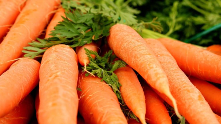 Când trebuie să cultivi morcovii dacă vrei să ai parte de o recoltă bogată. Secretul legumicultorilor a ieșit la iveală
