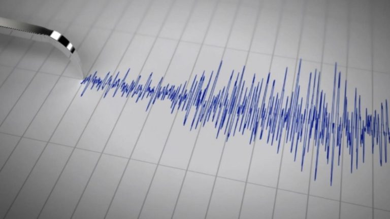 Cutremur de 4 grade în România, cu puțin timp în urmă. INFP anunță activitate seismică intensă