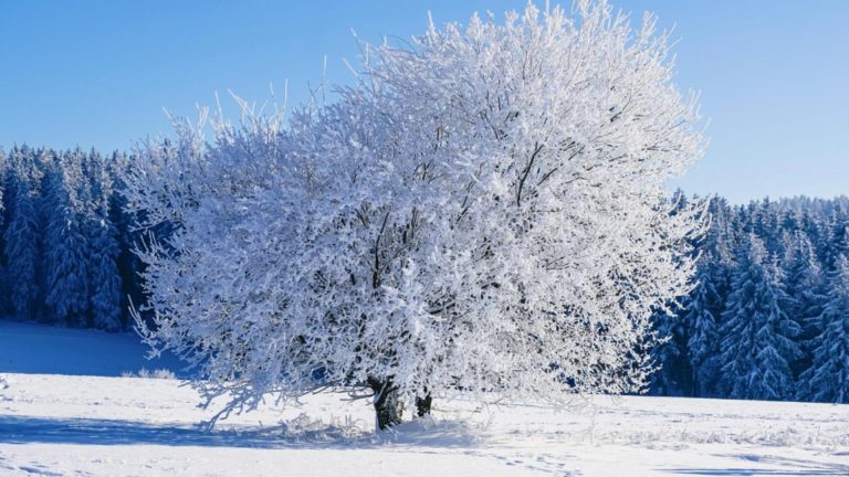 Alertă ANM: cod galben de viscol și ninsori, intensificări puternice ale vântului în aproape toată țara. HARTA a fost actualizată
