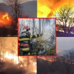 Incendiile de vegetație fac ravagii în România. Mii de hectare de teren au fost distruse în ultimele 24 de ore. Avertismentul IGSU