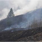 Incendiu de proporții în Neamț. Șapte hectare de vegetație au fost mistuite de flăcări