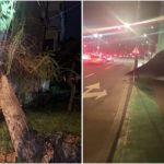 Vântul puternic a făcut prăpăd în Craiova. Garduri și copaci doborâți în doar câteva minute