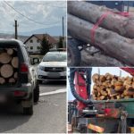 Hoți de lemne, arestați pentru transport de bușteni tăiați ilegal. Polițiștii din Harghita i-au prins în flagrant