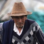Se dau bani de la STAT! Ajutoare de 280 de lei pe cap de animal pentru fermieri. Până când se depun cererile