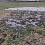 Solul Parcului Municipal Ploiești Vest băltește în petrol, după ce o conductă a Conpet s-a spart