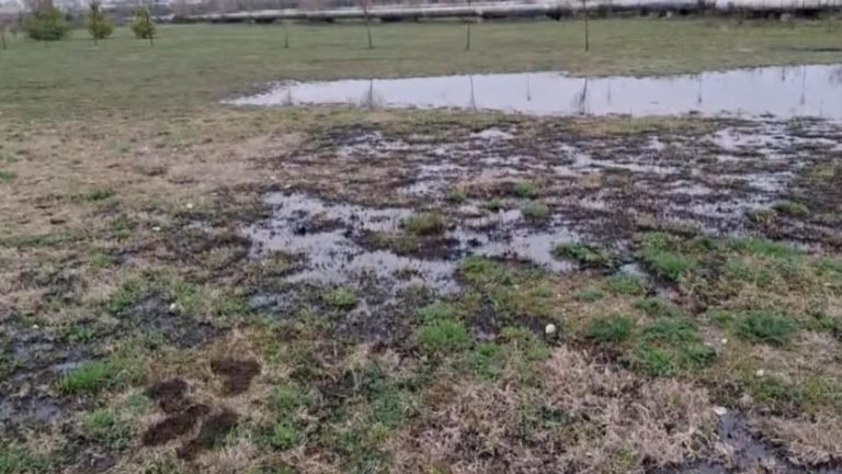 Solul Parcului Municipal Ploiești Vest băltește în petrol, după ce o conductă a Conpet s-a spart
