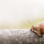Prognoza meteo 27 martie. Temperaturile rămân peste normalul perioadei, dar lovesc furtunile
