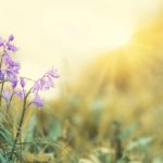 Prognoza meteo 7 martie. Temperaturile cresc brusc - maxime de până la 23 de grade!