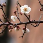 Prognoza meteo pe o lună: ANM anunță temperaturi nefiresc de mari