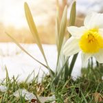 Vremea 19 martie. Frig și ninsori după temperaturile de vară. Vremea a luat-o razna în toată țara