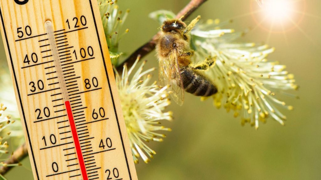 Vremea 13 martie. Temperaturi anormale în prag de primăvară, de până la 25 de grade: prognoza la zi pentru fiecare zonă în parte