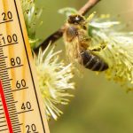 Vremea 13 martie. Temperaturi anormale în prag de primăvară, de până la 25 de grade: prognoza la zi pentru fiecare zonă în parte