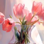 Două ingrediente banale din bucătărie prelungesc viața FLORILOR din vază. Doar marii florari le cunosc