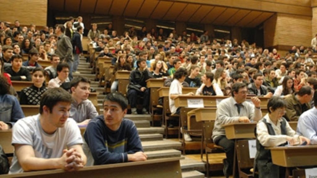 Cele mai inutile facultăți la ora actuală, potrivit inteligenței artificiale. Absolvenții se trezesc cu diploma, dar fără perspective de viitor