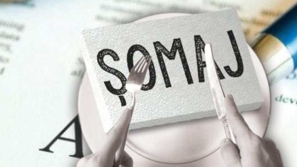 Cifrele realității. România are aproape 8 milioane de angajați și 500.000 de șomeri