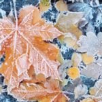 Val de frig în București: ANM a emis o prognoză meteo specială - temperaturile scad brusc cu până la 20 de grade!