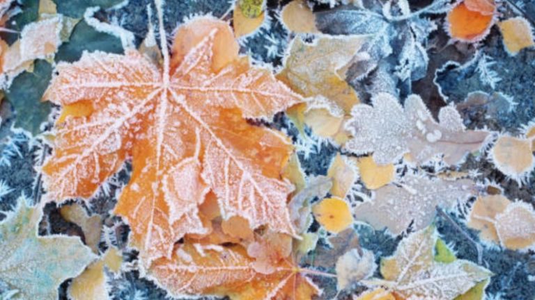 Val de frig în București: ANM a emis o prognoză meteo specială - temperaturile scad brusc cu până la 20 de grade!