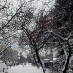 Meteorologii Accuweather au emis cod roșu de ninsori. Ce zone sunt vizate?