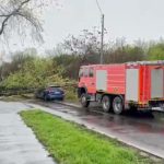 Copac prăbușit peste o mașină aflată în mers pe Splaiul Unirii din București. Șoferul a ajuns la spital