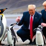 Donald Trump a impus tarife pinguinilor. Noua gafă a președintelui SUA, devenită subiect de glume pe internet